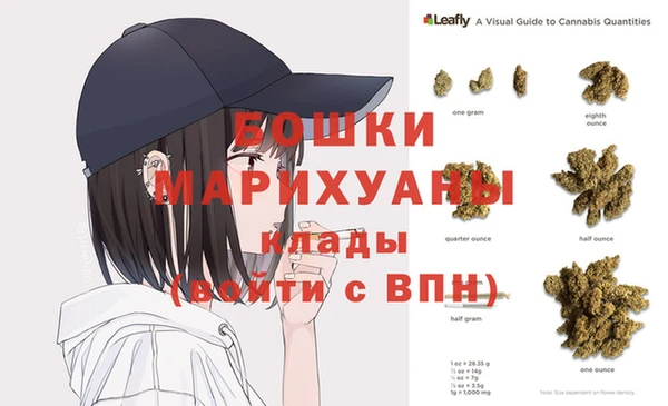 мдпв Дмитровск