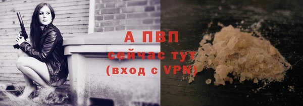 молекула духа Дмитров