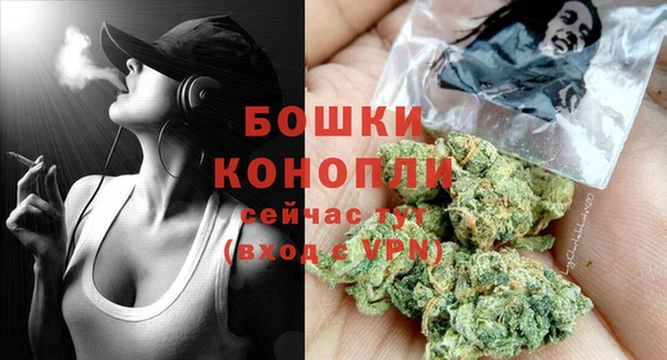 мдпв Дмитровск