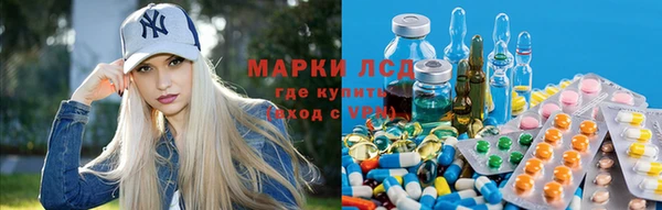 крисы Заречный